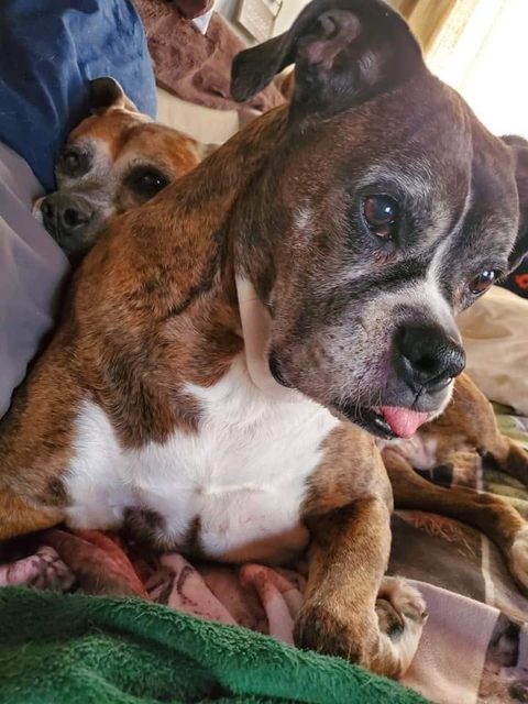 Photo shared by Always & Furever