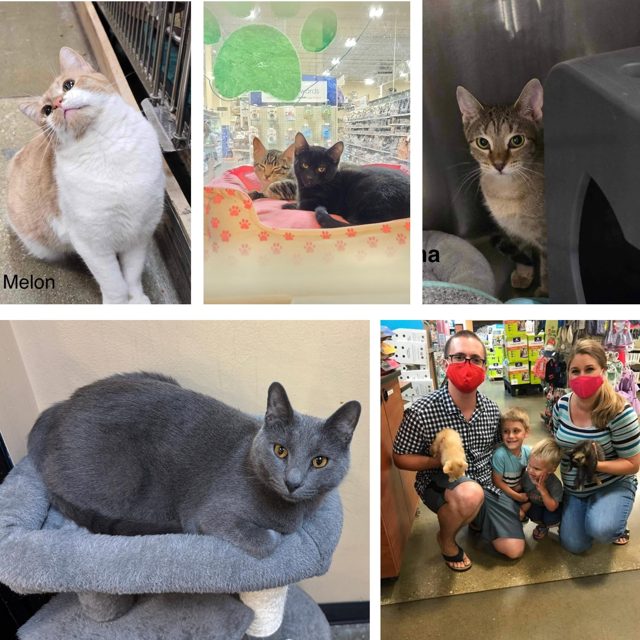Photo shared by Always & Furever