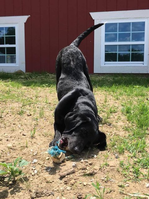 Photo shared by Always & Furever