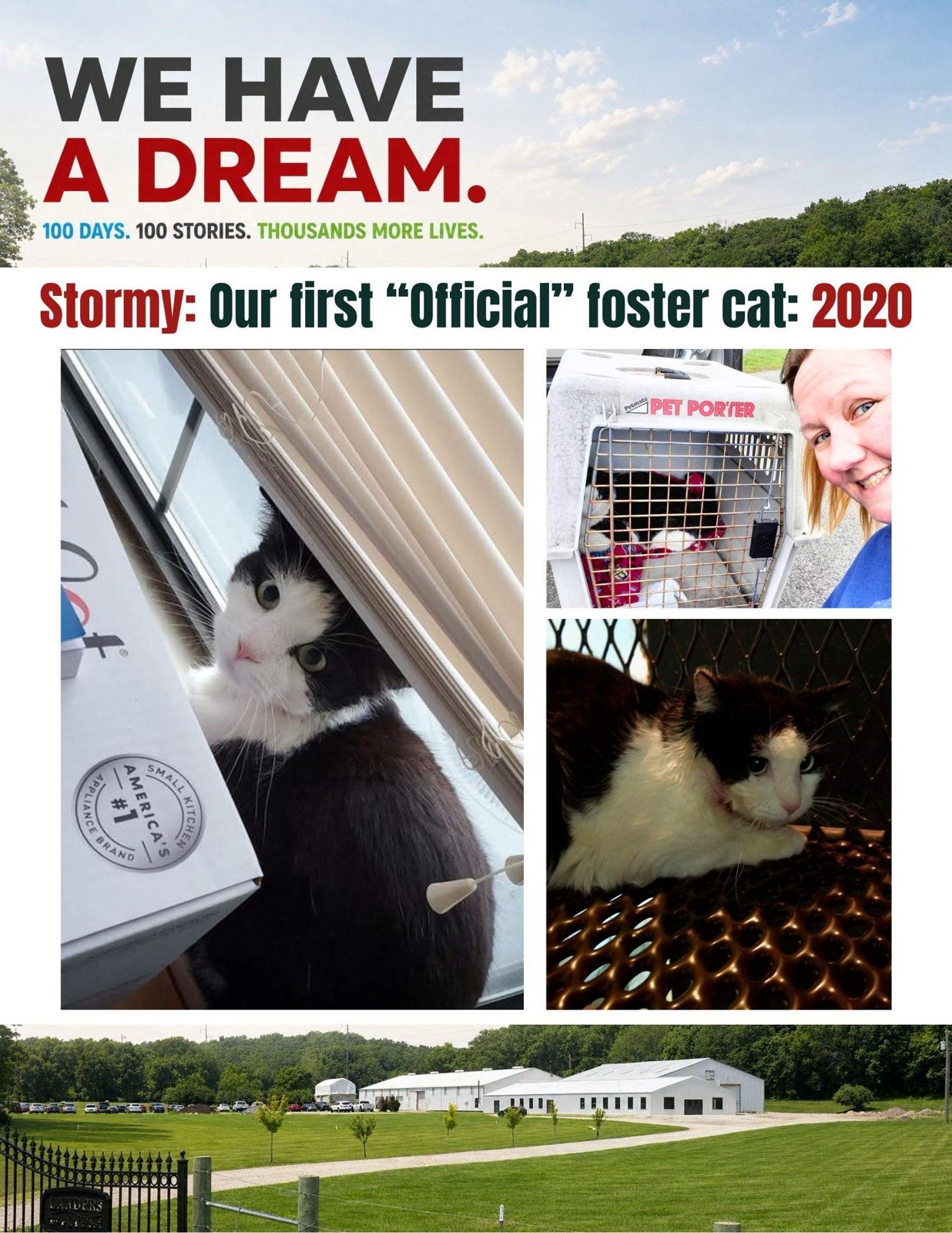 Stormy