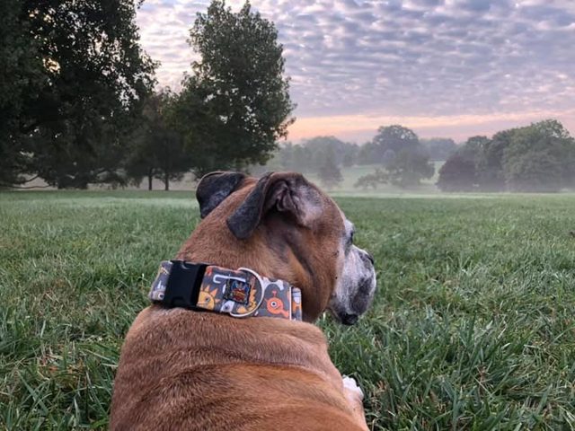 Photo shared by Always & Furever