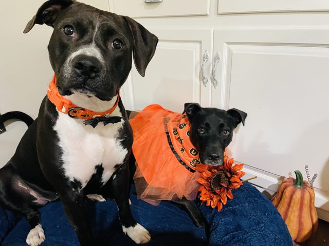 Photo shared by kimberly schraeder
