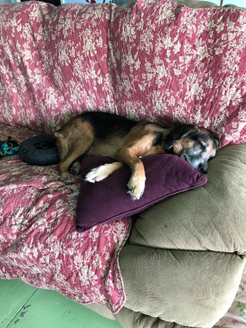 Photo shared by Always & Furever