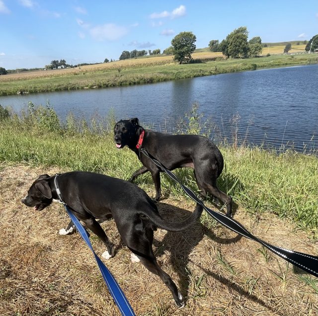 Photo shared by kimberly schraeder