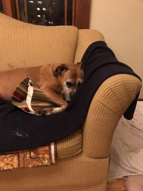Photo shared by Always & Furever