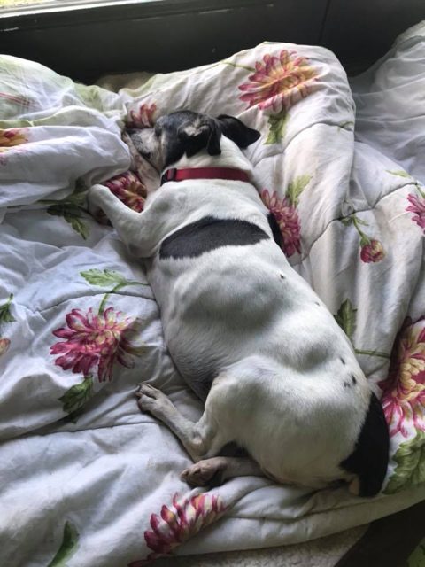 Photo shared by Always & Furever