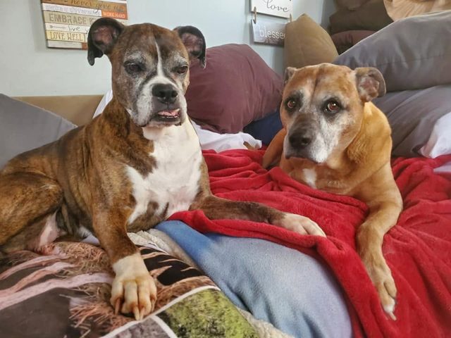 Photo shared by Always & Furever