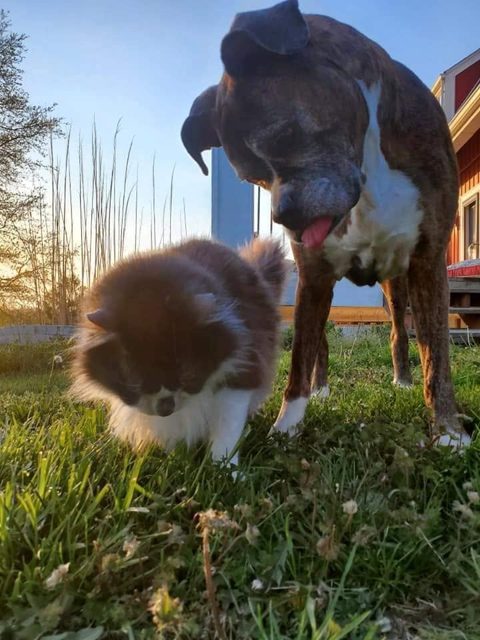Photo shared by Always & Furever