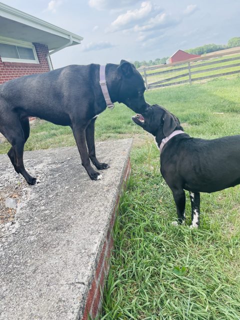 Photo shared by kimberly schraeder