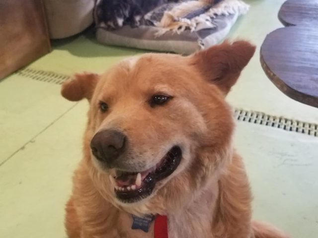 Photo shared by Always & Furever