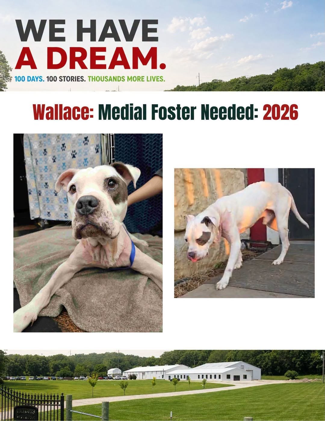 Wallace