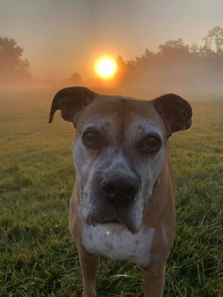Photo shared by Always & Furever