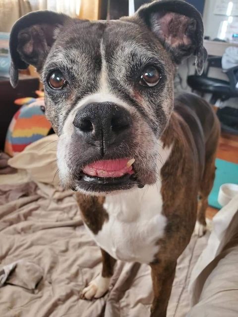 Photo shared by Always & Furever