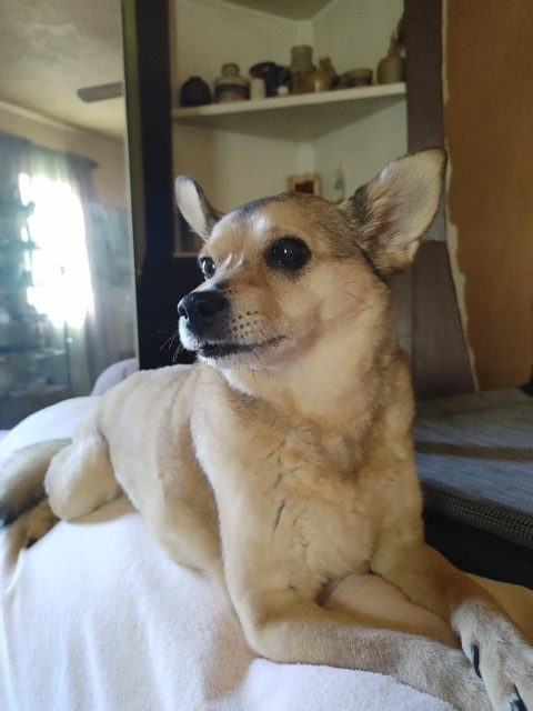 Photo shared by Lori G