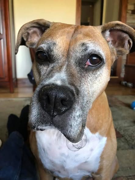 Photo shared by Always & Furever