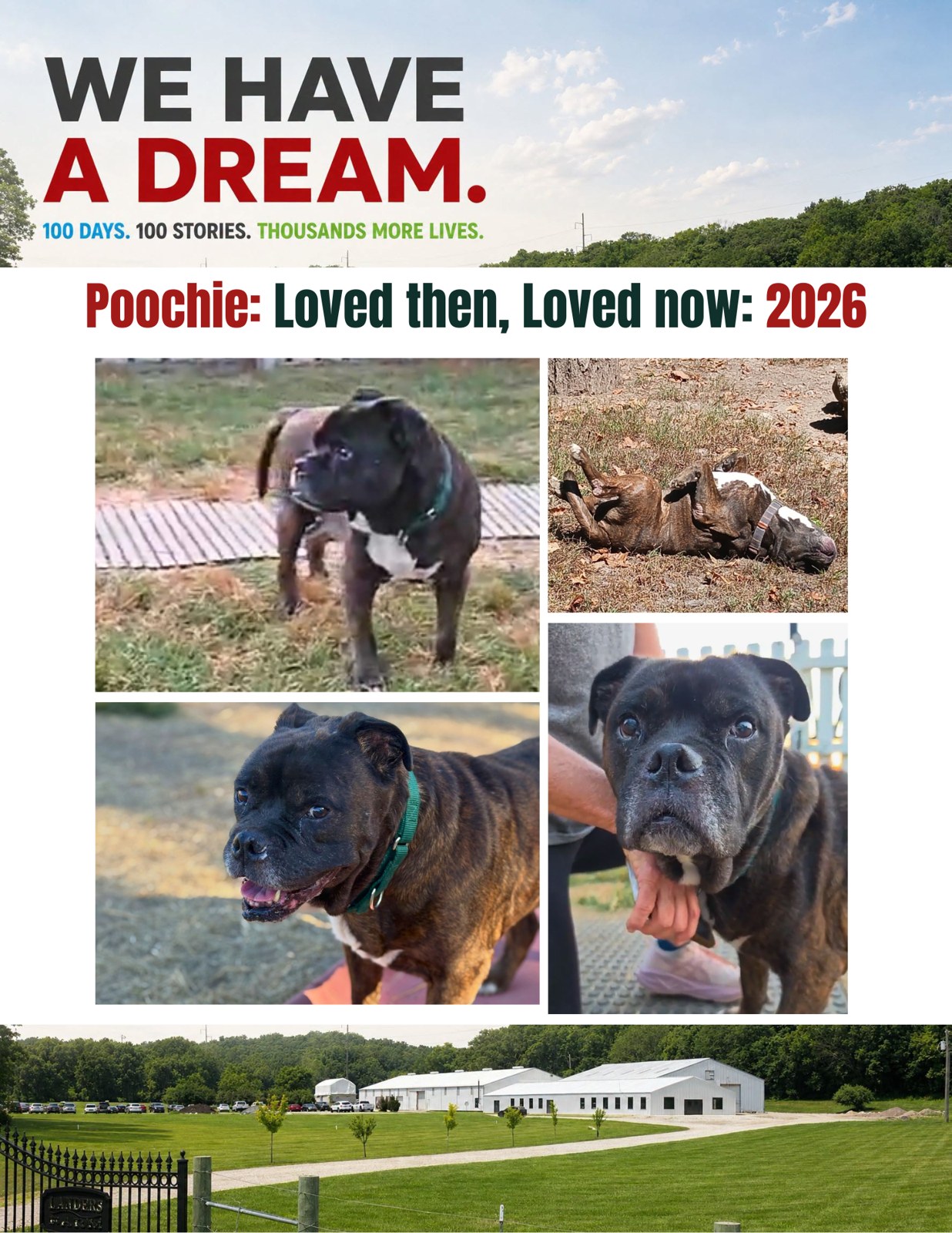 Poochie