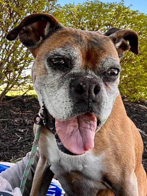 Photo shared by Always & Furever