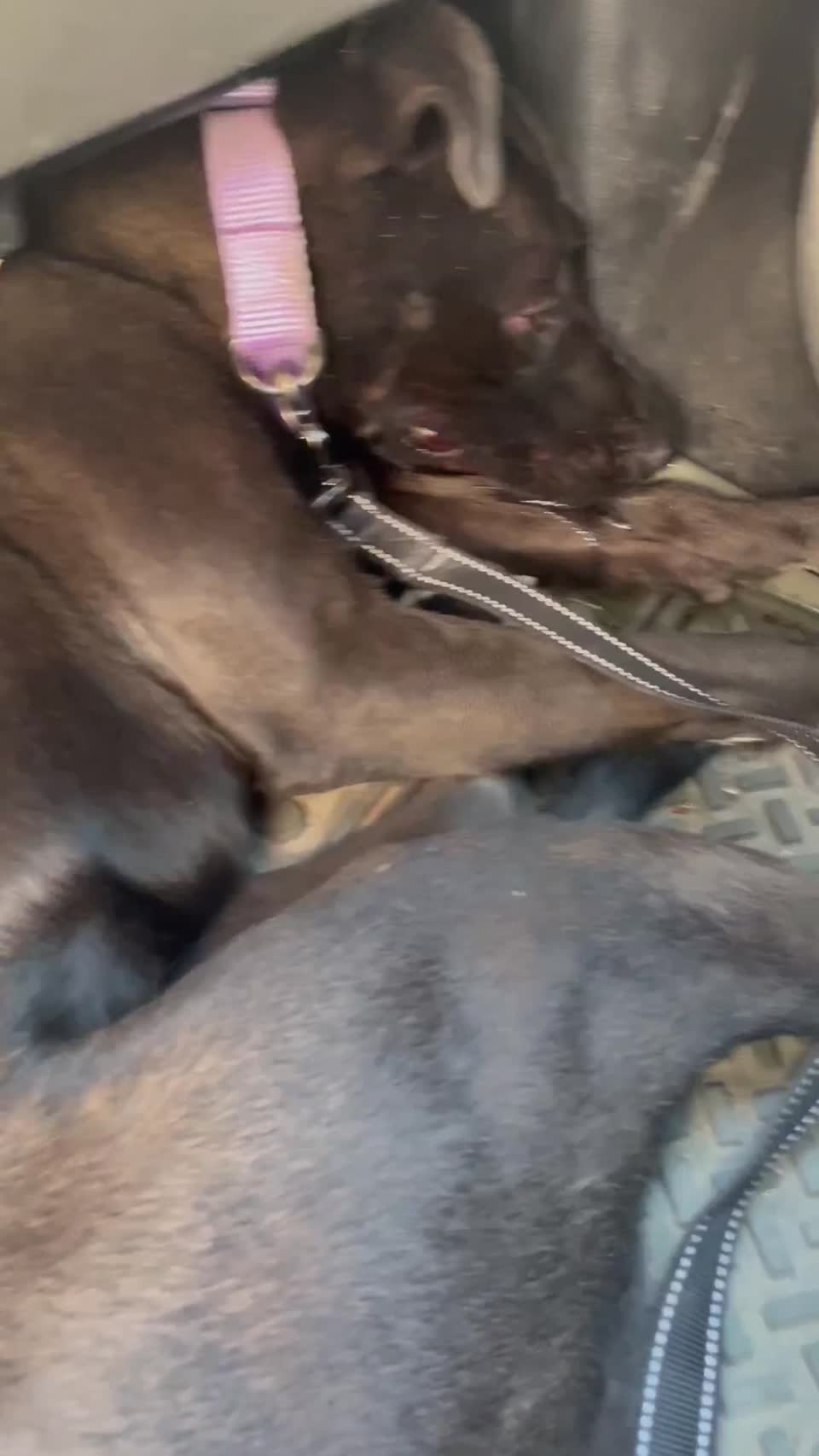 Video shared by kimberly schraeder
