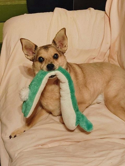 Photo shared by Lori G