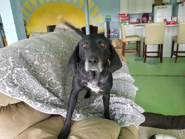 Photo shared by Always & Furever