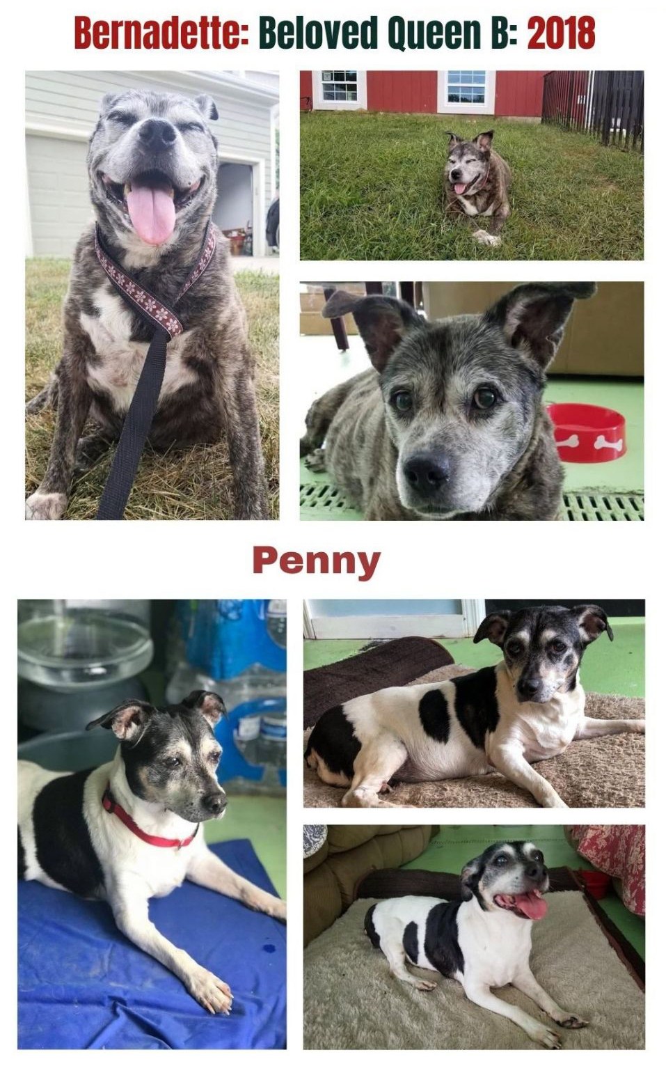 Bernadette and Penny
