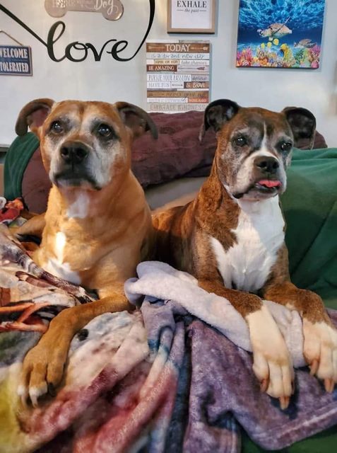 Photo shared by Always & Furever